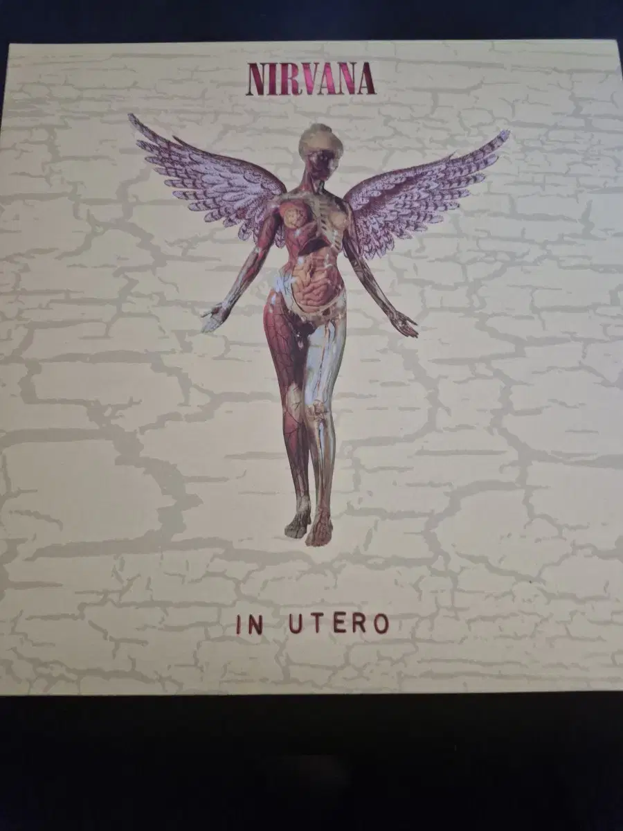 Nirvana(너바나) - In Utero 30주년 lp