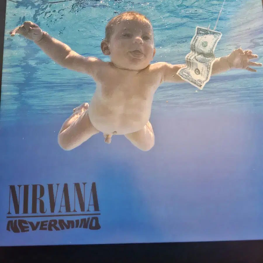 Nirvana(너바나) - Nevermind Lp