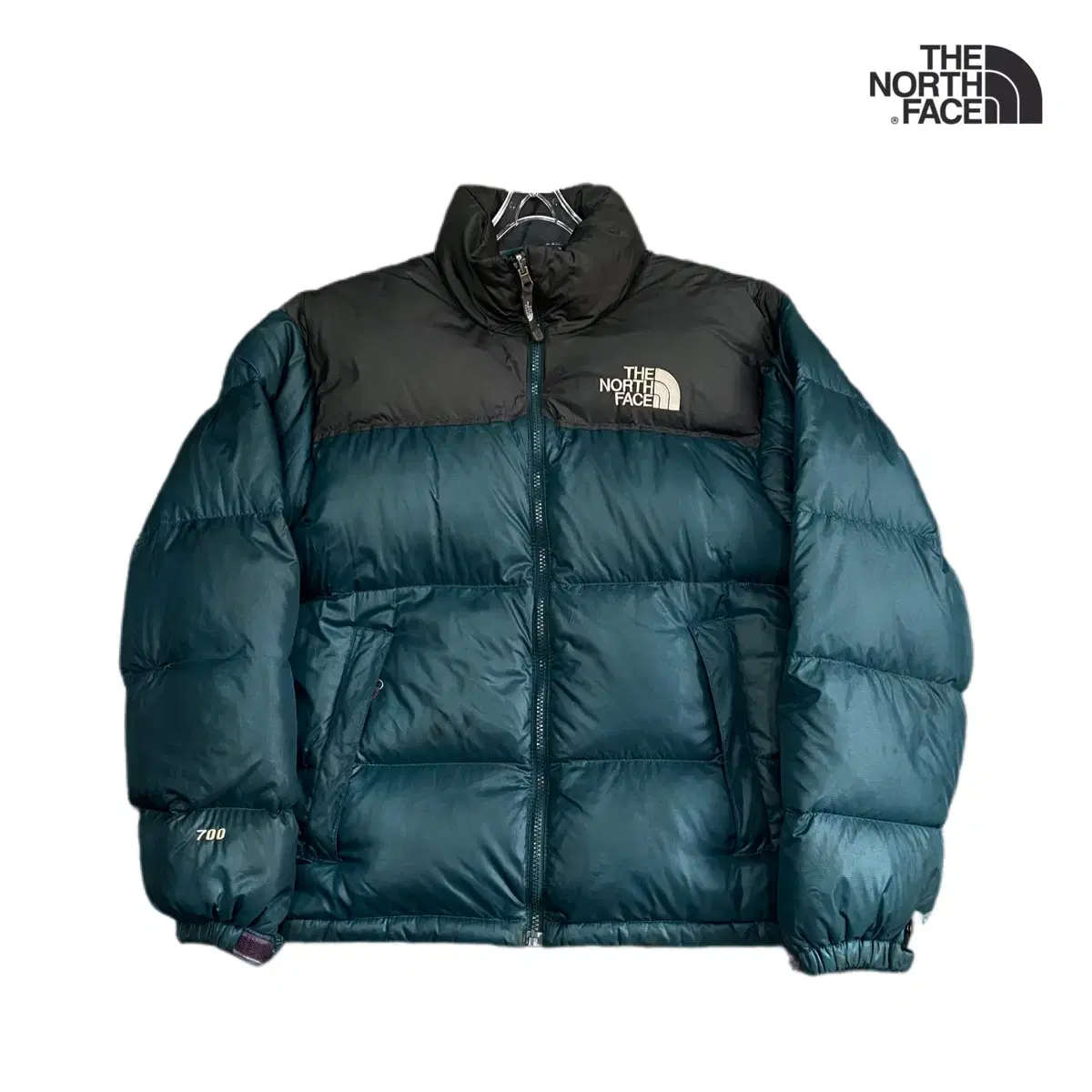 The North Face 700 Nupsi Goose Down Padded Turquoise