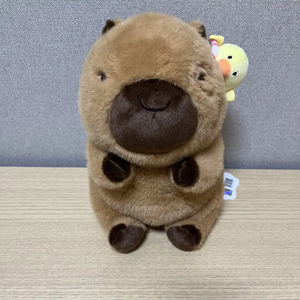 낙서 카피바라짱 인형 브라운 27cm 6개