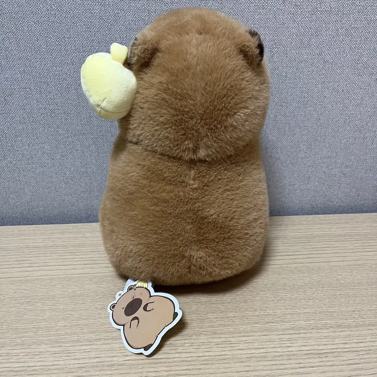 낙서 카피바라짱 인형 브라운 27cm