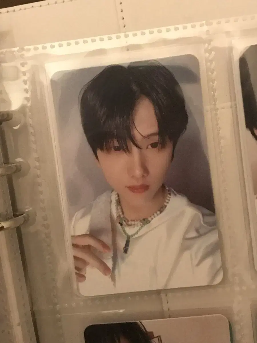 Candy jisung tc Photocard