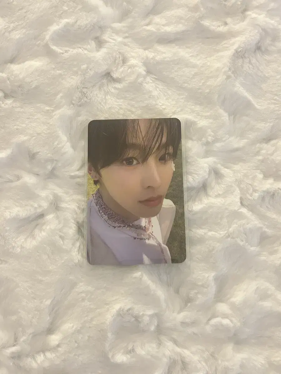 nctwish nctwish songbirdletter riku photocard wts