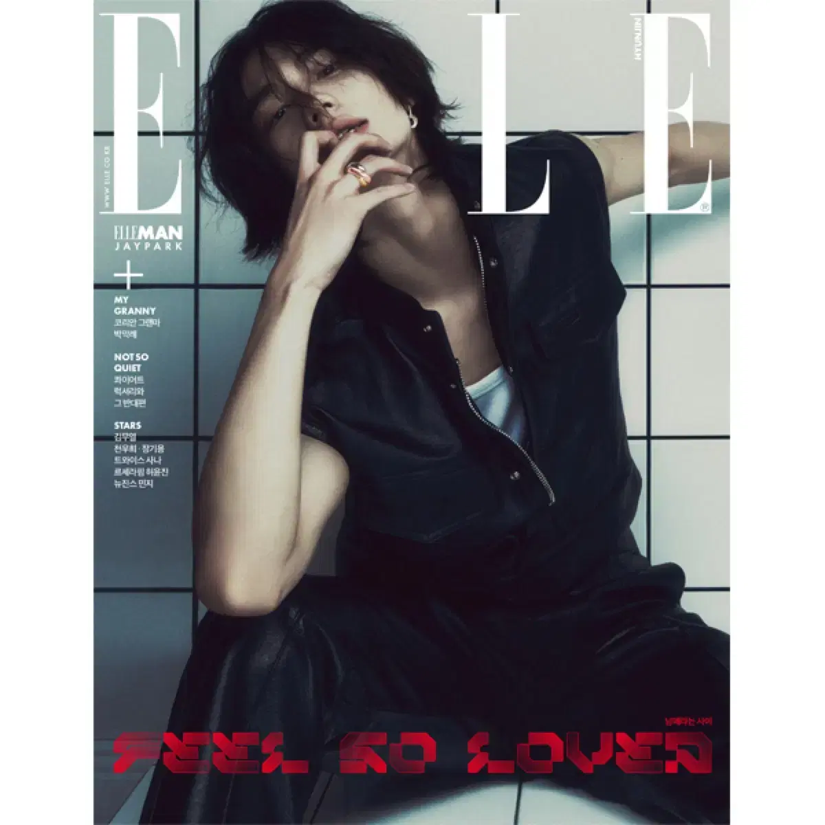 ELLE hyunjin E-type May issue skz Sells magazines