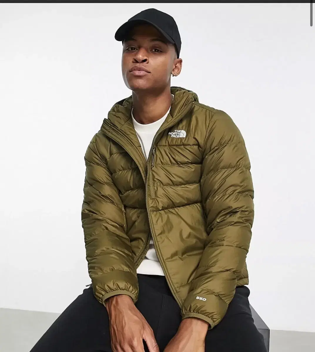 The North Face Acorn2 Hooded Puffer Jacket[L]