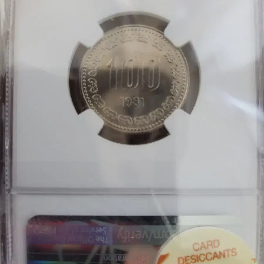 1981년100원 ngc65등급