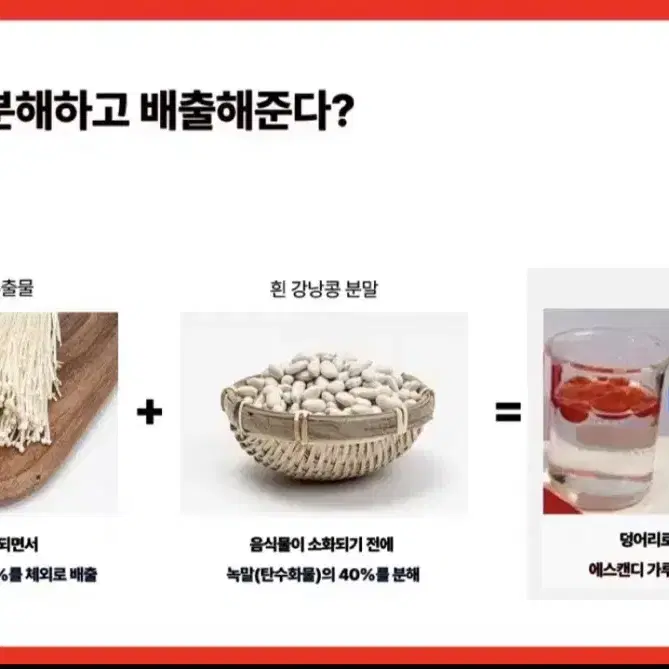 에스캔디 (무배) 서비스로 한포 더 드림