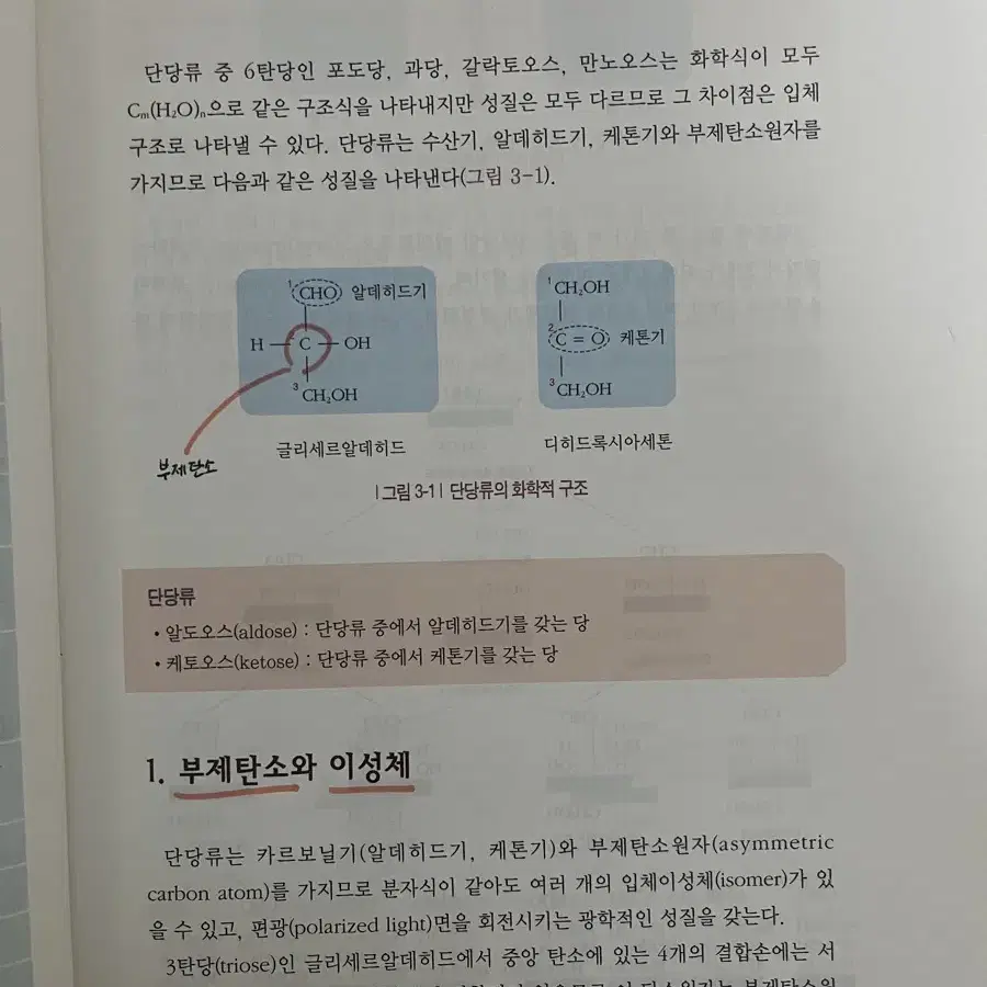 교문사 식품학