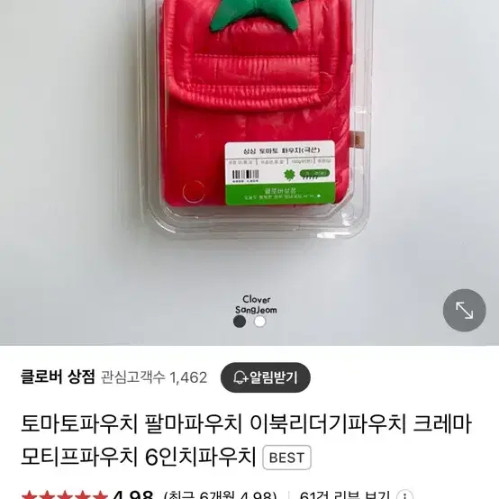 아이패드 미니6, 이북 토마토 파우치