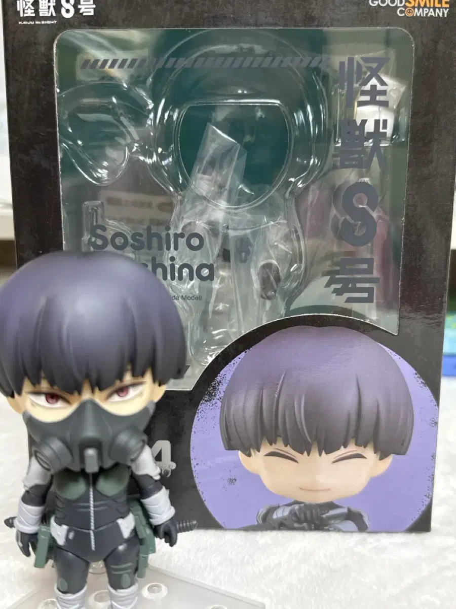 Hoshi nasosuushiro nendoroide