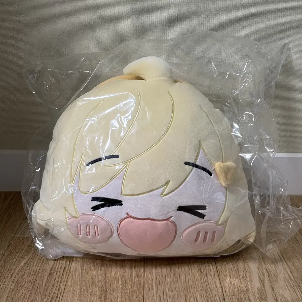 unsealed) ISEGYE IDOL Zingberger Cushion