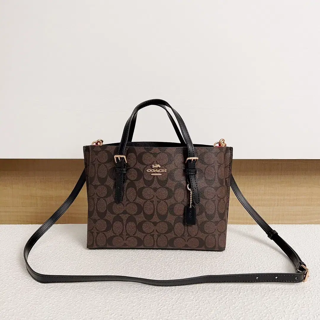 Coach Molly 25 cignature 2 x Canvas Tote Bags C4250