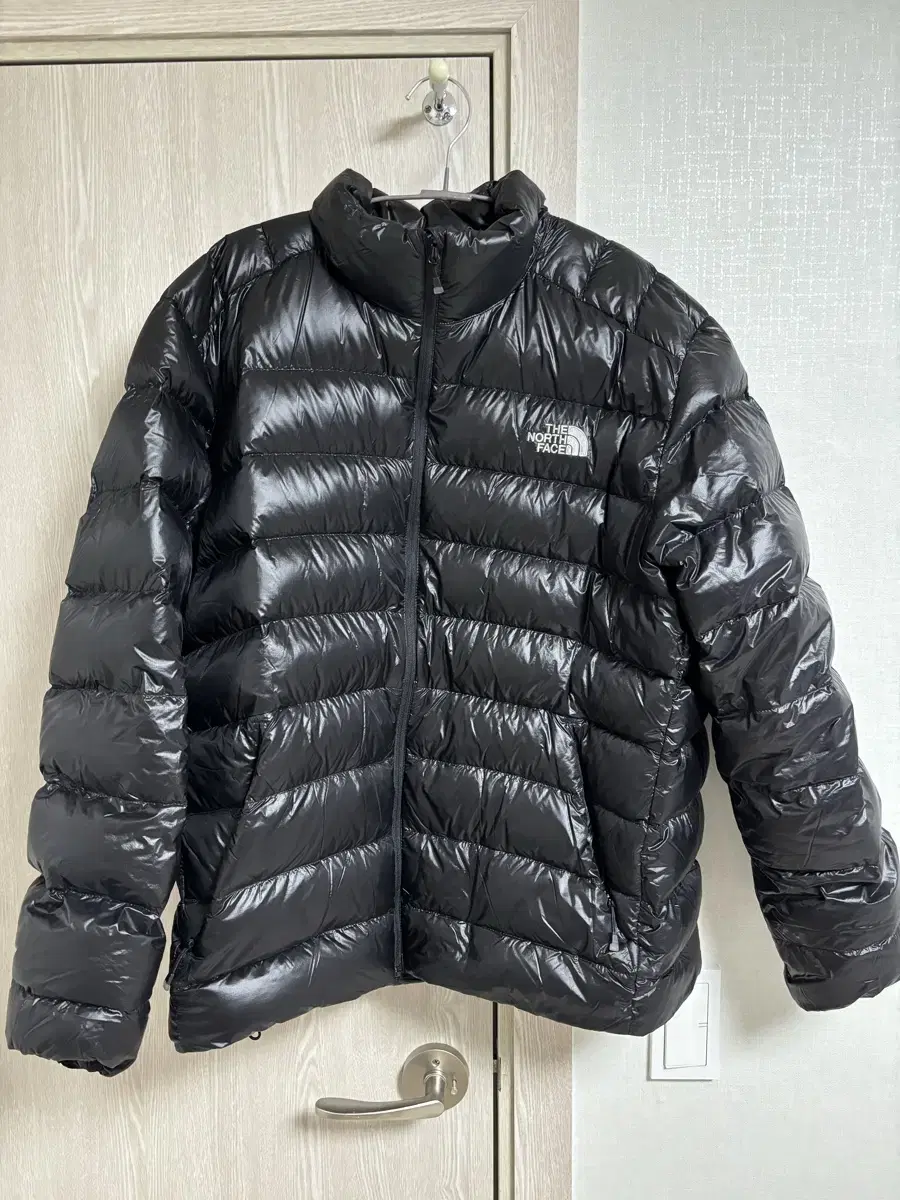 [110] 24 FW The North Face Mathieu Jacket - One Size Fits All