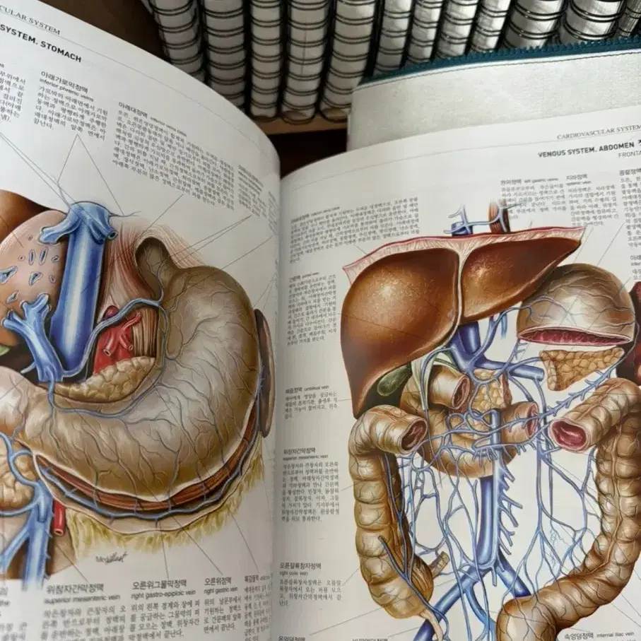해부학 그림책