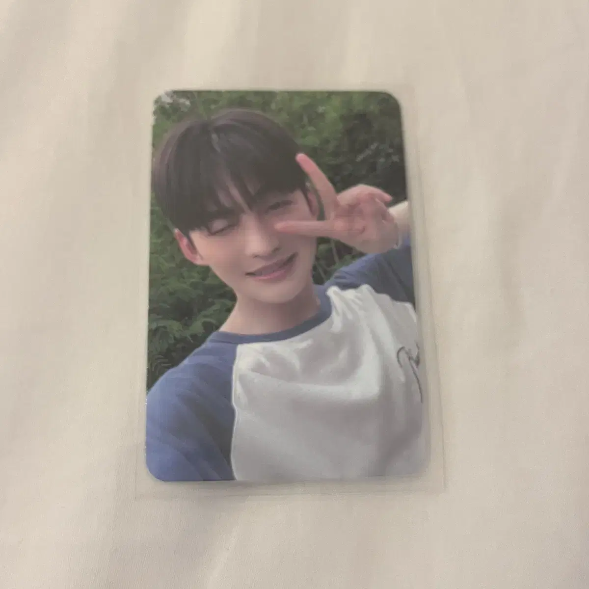 Tours TWS jihoon Summerbit soundwave soundwave luckydraw ld Photocard