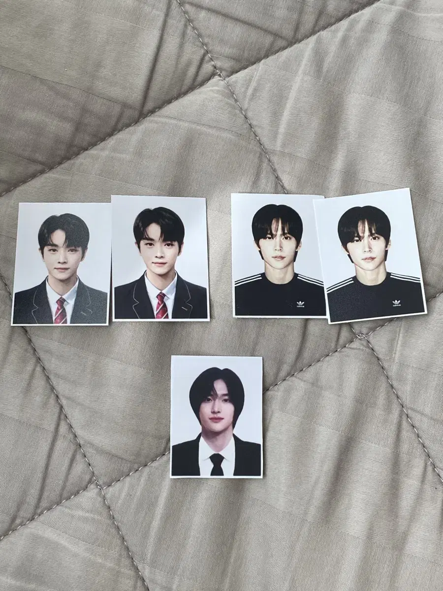 riize riize proof photocard photocard