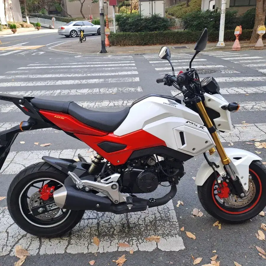 혼다 msx125sf