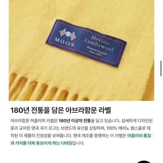 아브라함문 메리노울 머플러 노랑