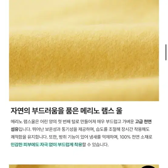 아브라함문 메리노울 머플러 노랑