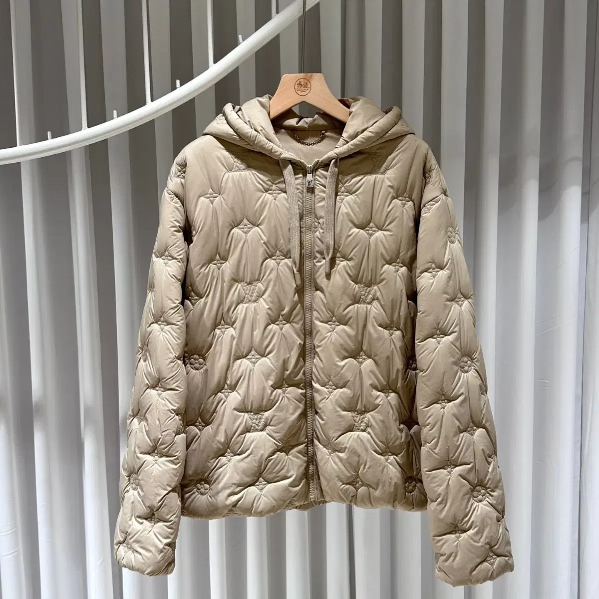 Louis Vuitton Monogram Qualified Hooded Padded Jacket / 54