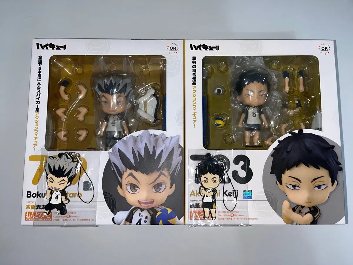 Haikyuu Bokuto Akaashi sealed Sell Nendo