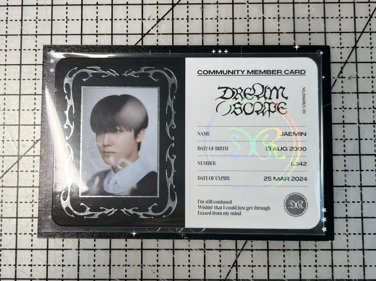 Dreamini ID kard jaemin WTS