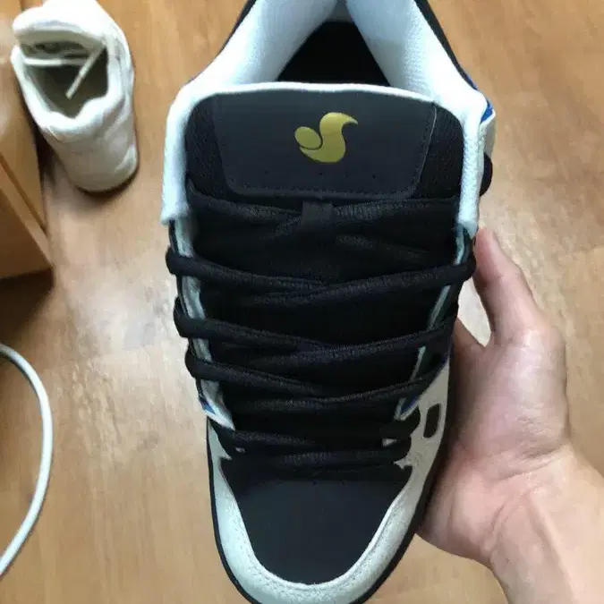 DVSshoes 260 운동화 스개이트보드