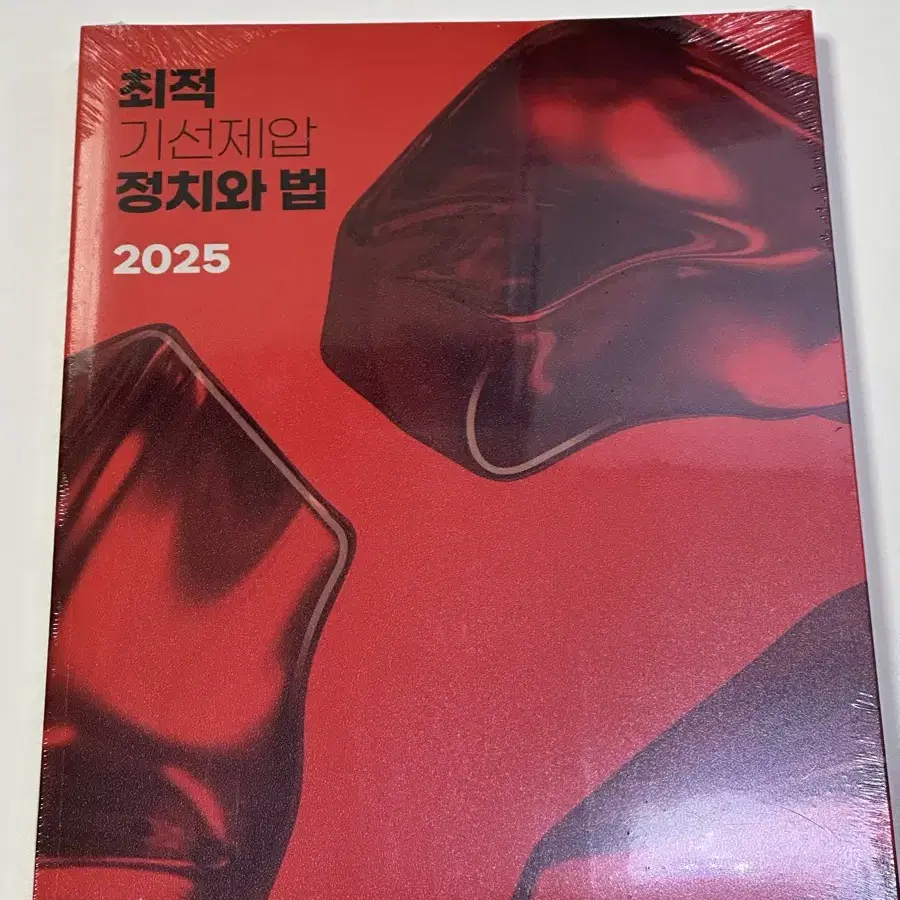 2025 최적 정치와법 기선제압