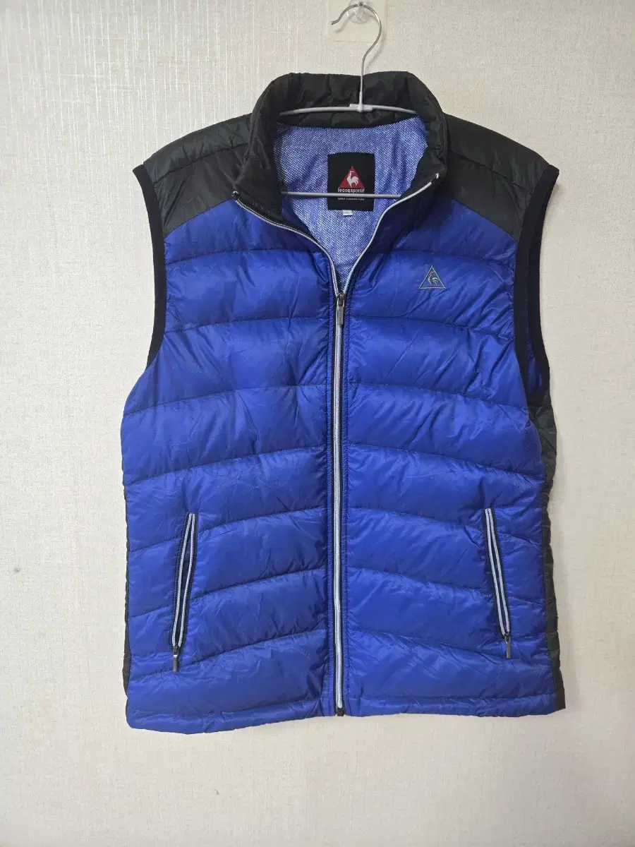 Men95-100 Rococo Goose Down Vest