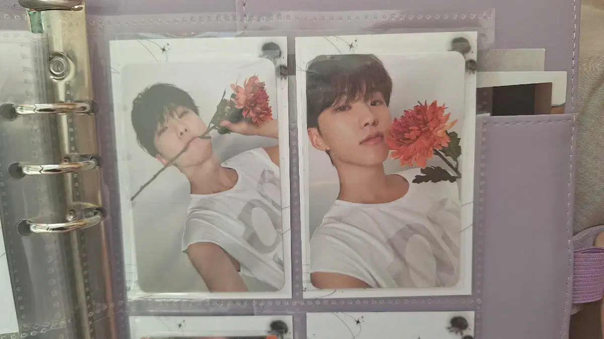 Bombshell) Seventeen Deer version hoshi photocard bulk WTS