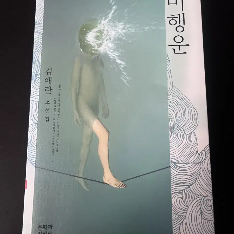 소설책) 비행운