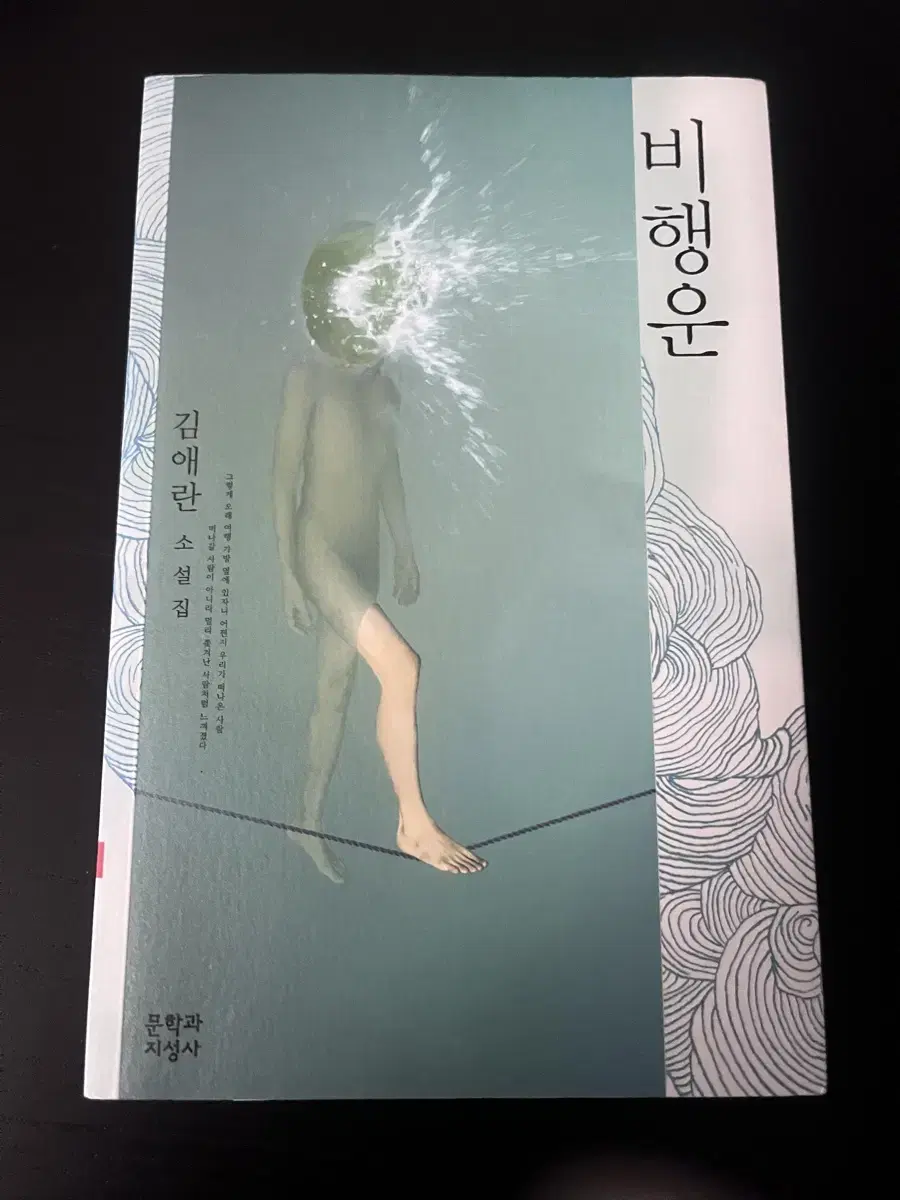 소설책) 비행운