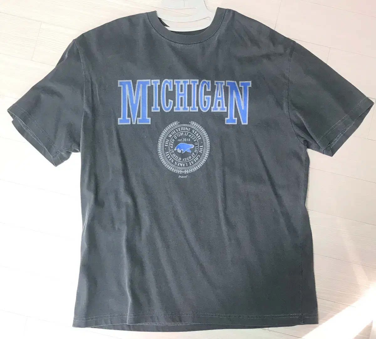 Travel Michigan Pigmented Short Sleeve M