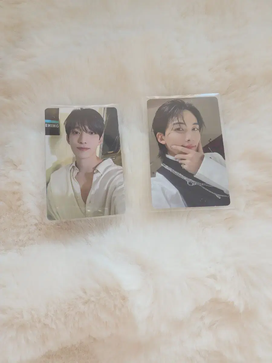 dk,jeonghan kit photocard 핍니당