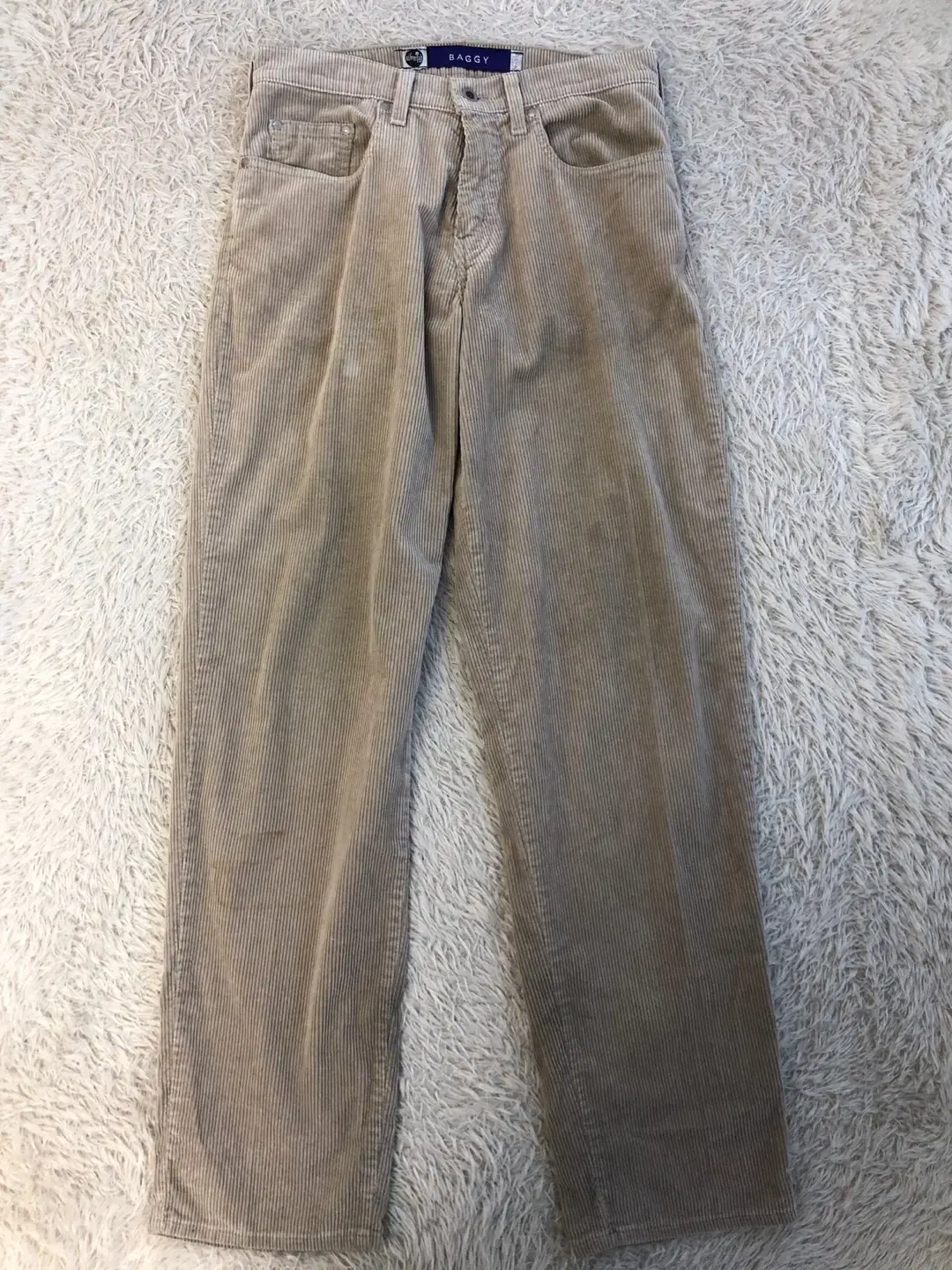 Levi's Silvertab Corduroy Pants/#672