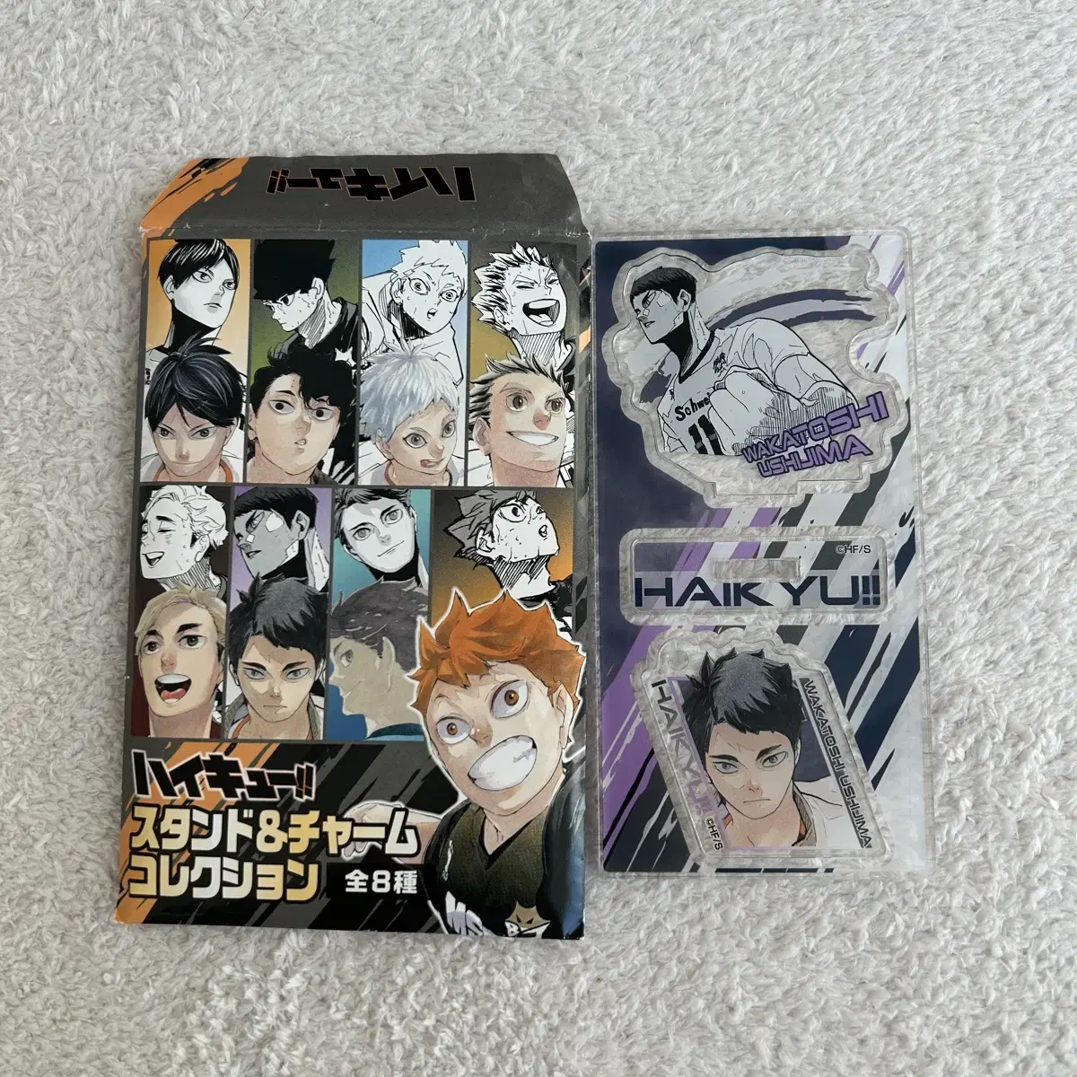 Ushijima Jumpfesta Champ acrylic (unsealed)