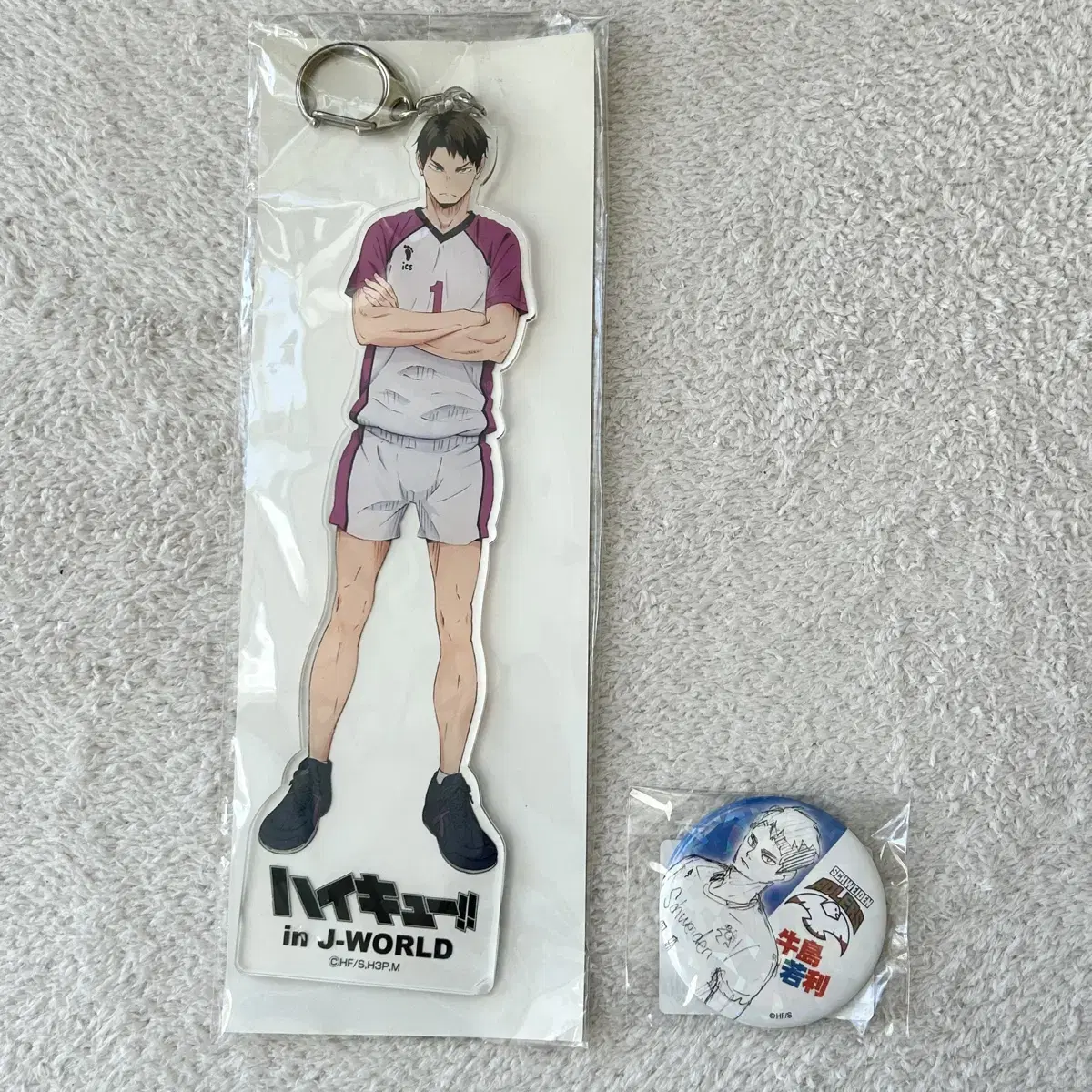 Ushijima Jay World Big acrylic Keyring