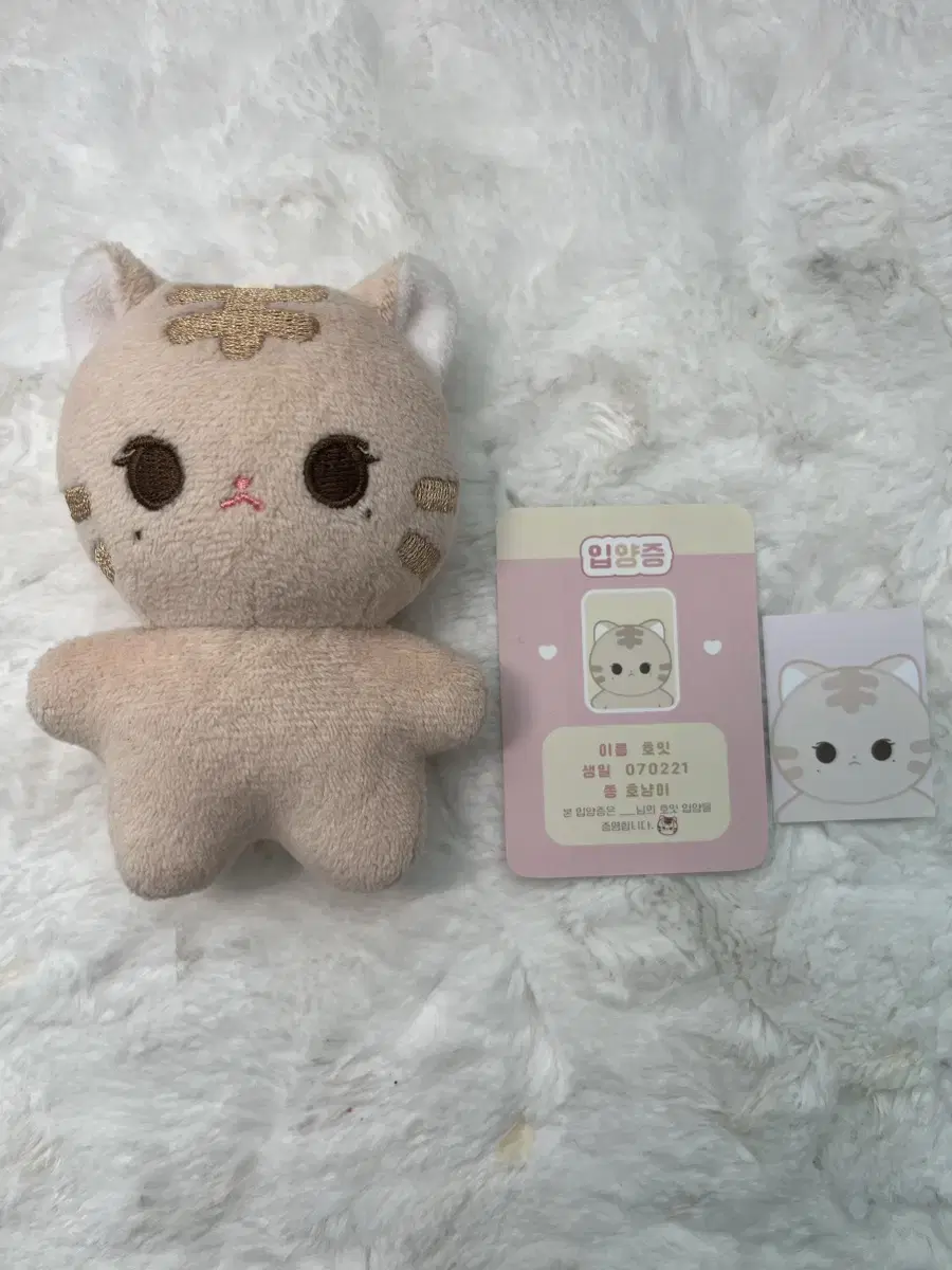 ive leeseo 10cm doll hoyt sells