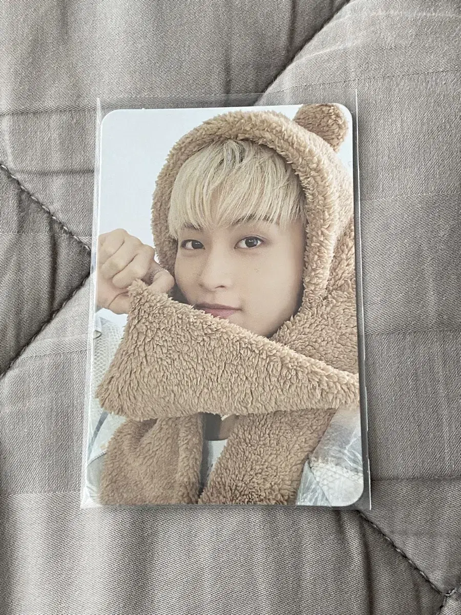 NCT 127 NCT The Unity Exhibition mark Photocard the Bear