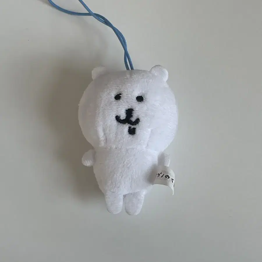 침담곰