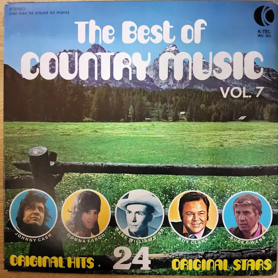 V.A: COUNTRY MUSIC 음반 (LP 턴테이블 오디오 앰프 음향