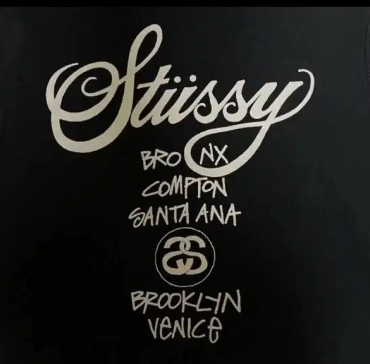 Quick sale worldtour Stussy Hoodie