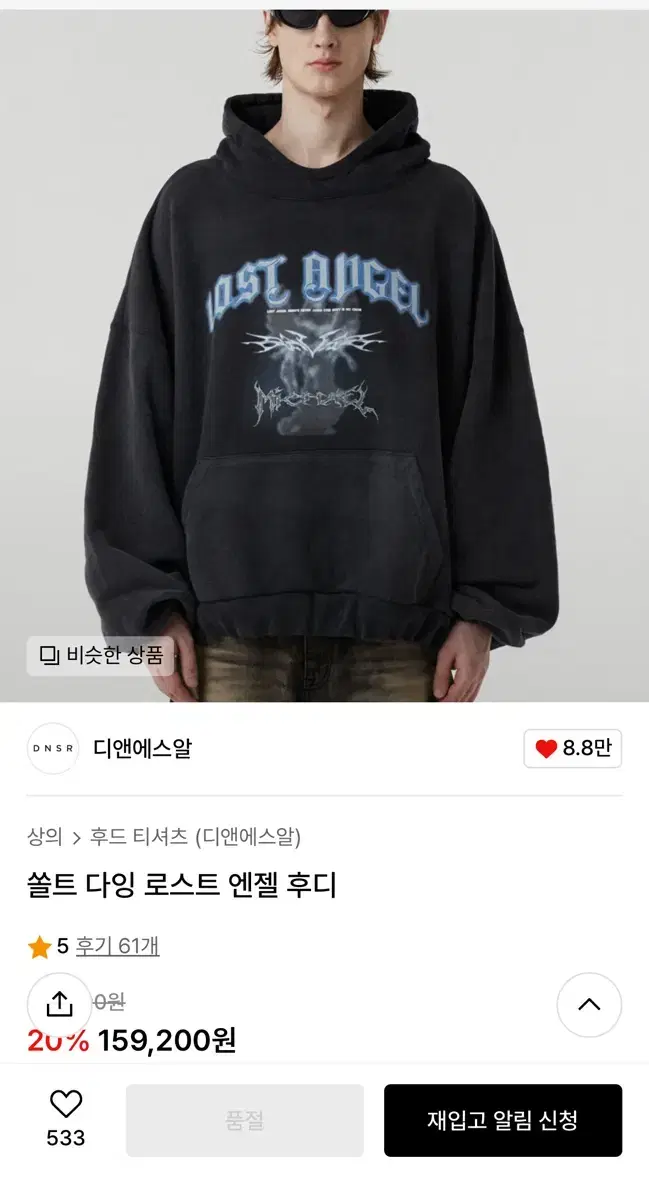 DNSR Salt Dying Lost Angel Hoodie