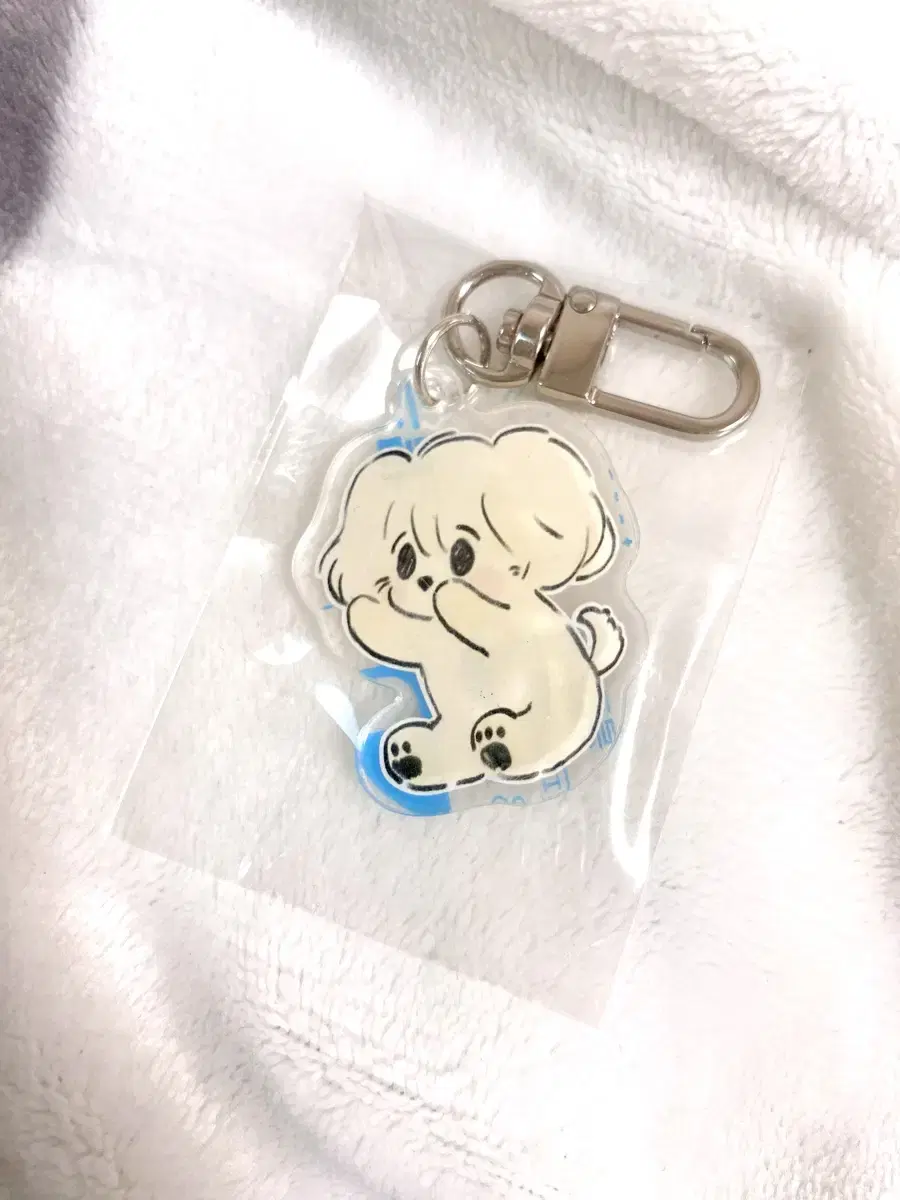 Jo keyring jungwoo sells pups