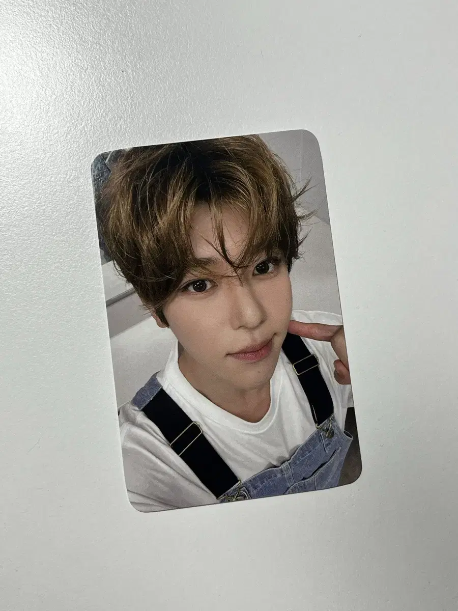 nct wish songbird ktown4u lordonphotocard wts