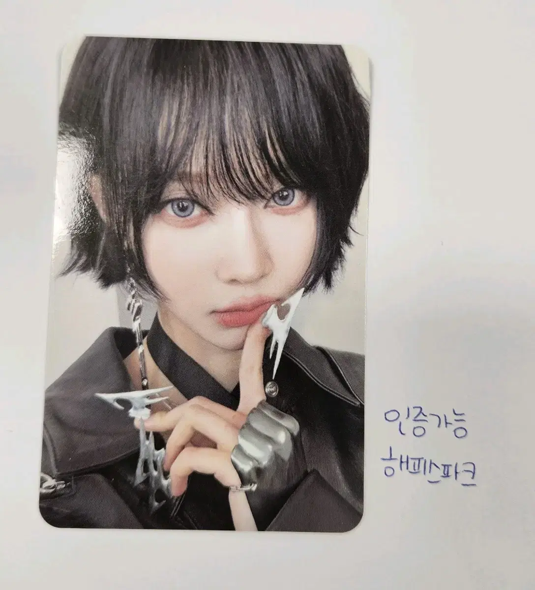 Winter Whiplash Whiplash Photocard