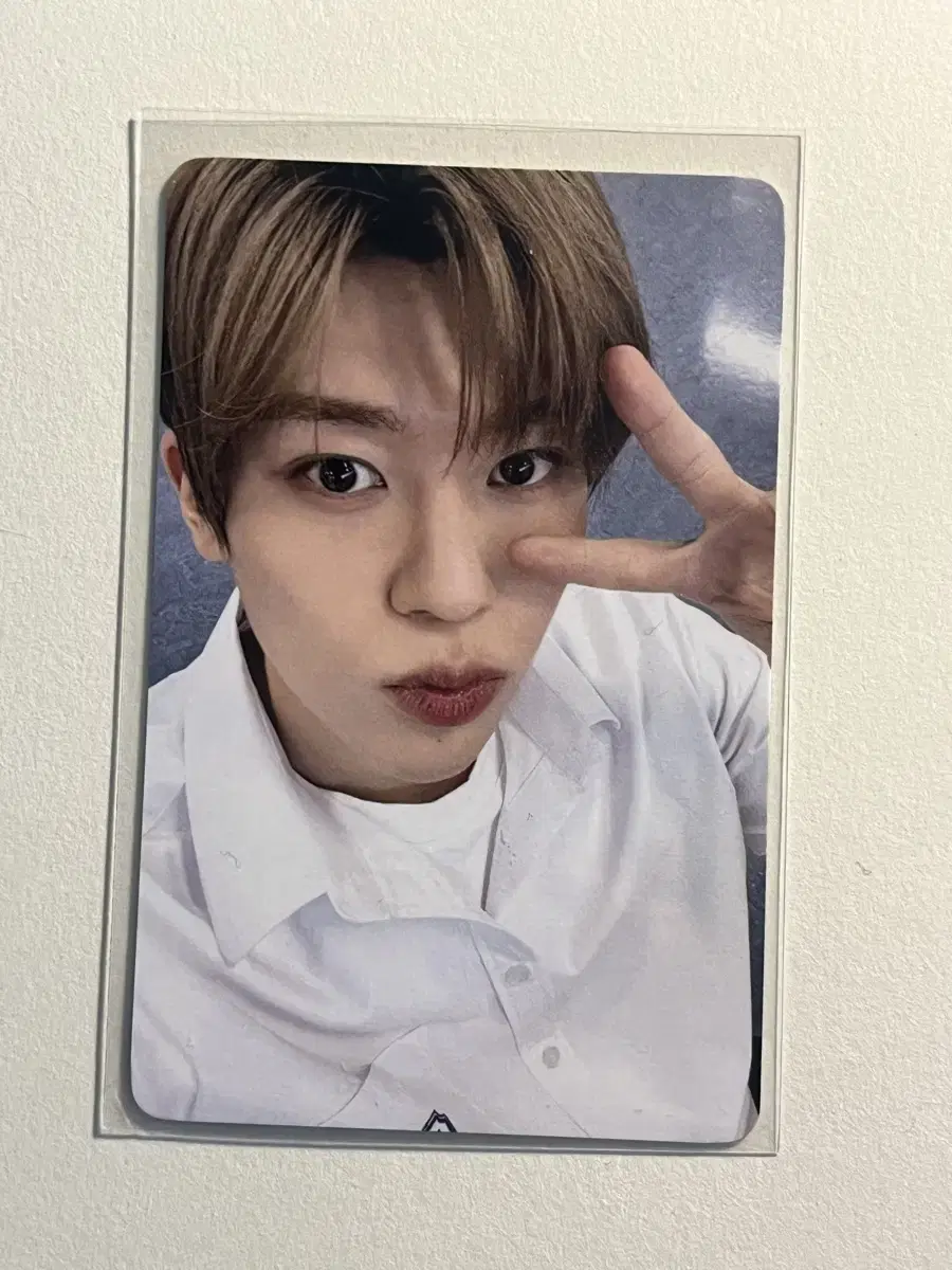 NCT WISH sion School of wish fanmeeting Admissions photocard wts NCT