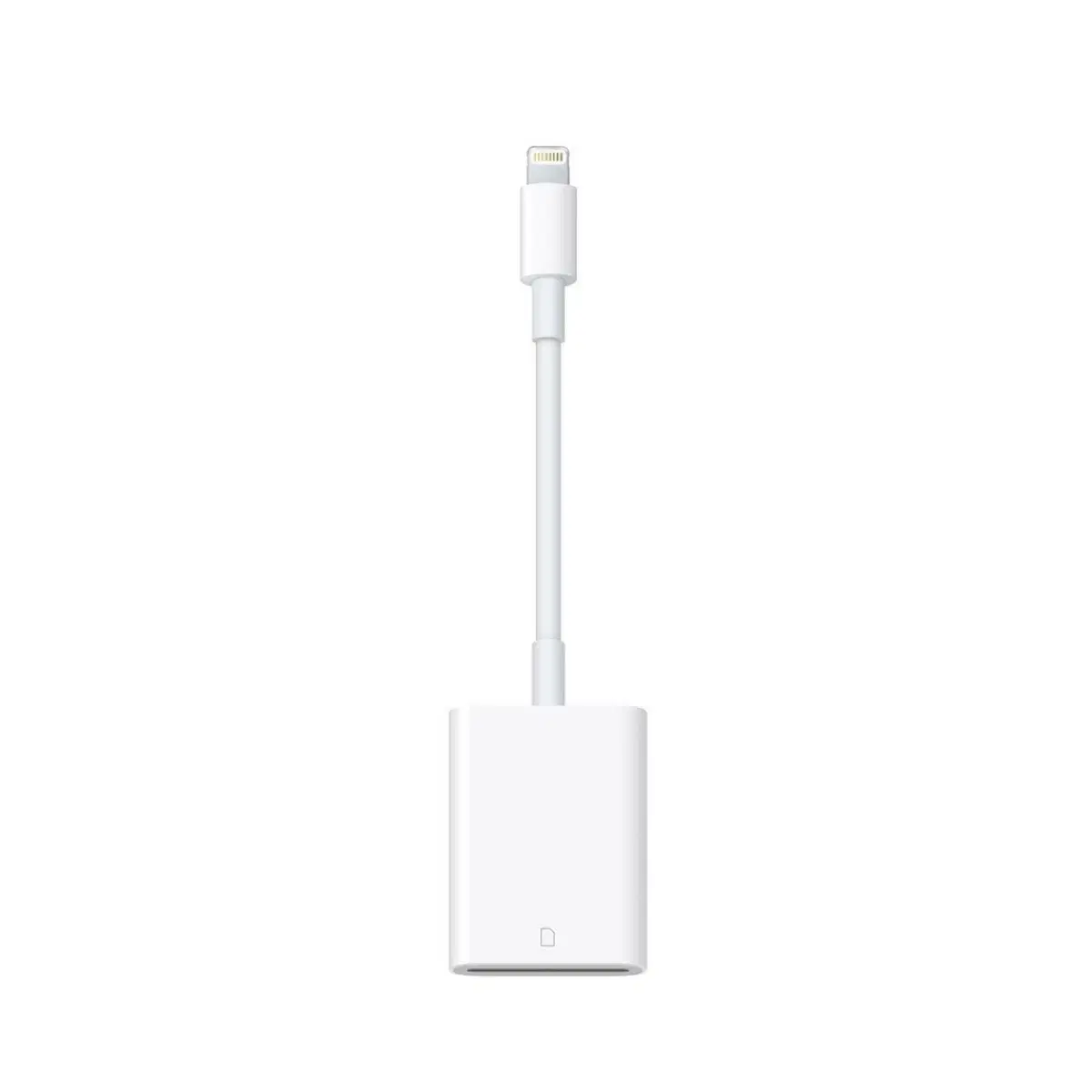 Apple 정품 USB C to SD Card Reader 카드리더기