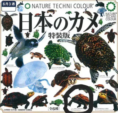 Ikimon Present Nature Technicolor Japanese Turtle Ryukyu Black-breasted Leaf Turtle