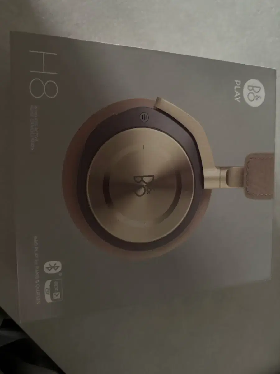 Beoplay H8i